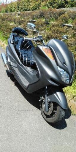 マジェスティC　限定車　(3)