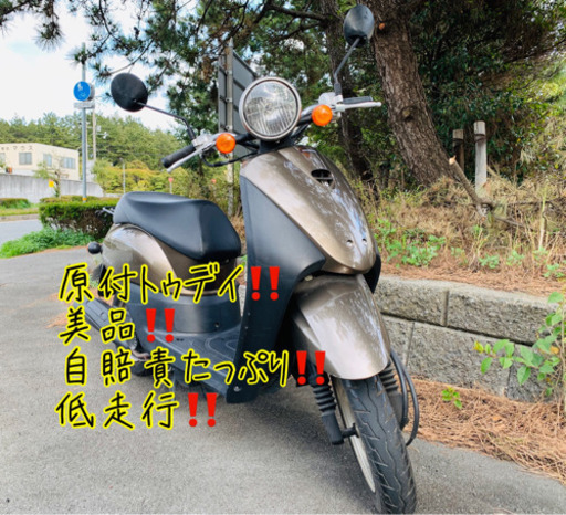 ⭐️ホンダ トゥデイ原付⭐️美品‼️低走行‼️格安‼️AF67！自賠責たっぷり付き‼️