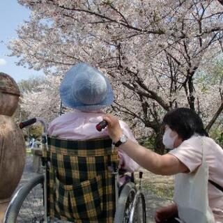 ベランダ用🎏鯉のぼり譲って下さい