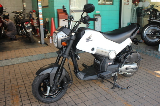 綺麗な　HONDA　NAVI 110cc
