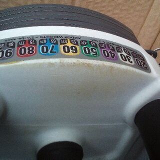 (正規品)パワーブロック sport 9.0 (50ポンド) ２個セット