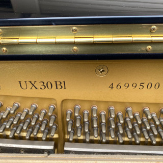 田嶌 紗蘭 直筆サイン入チェキ シャニマス ノクチル 声優