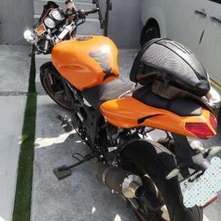SUZUKI TL1000S 車検残あり オーリンズ 逆車 ストファイカスタム ...