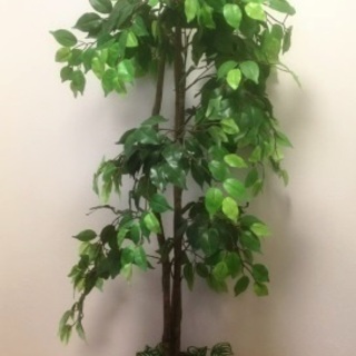 【取引中】観葉植物/フェイクグリーン 高さ140cm