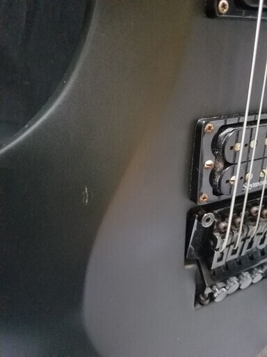 Edwards フォレスト ギター | marketingdigital.tur.br