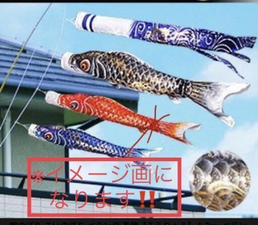 ﾍﾞﾗﾝﾀﾞ用 鯉のぼり