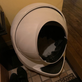 ネコ自動トイレ