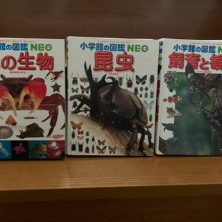 お話中です　小学館の図鑑　生き物系3冊