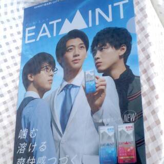 新品　LOTTE　ロッテ　3人　竹内涼真　EAT MINT　イー...