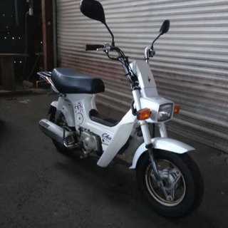 シャリー　50cc   12v  最終型 シャリー 50cc 12v 最終型 【公式通販】