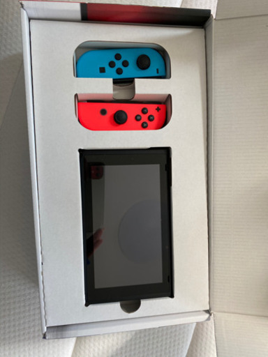 その他 nintend switch