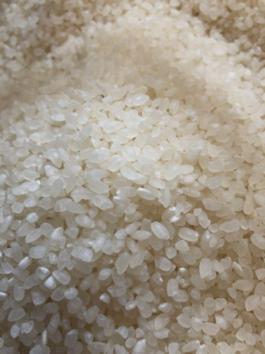 【値下】令和元年度　新米　白米 お米 30kg ブレンドなし