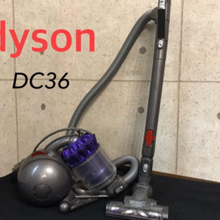 Dyson DC36 掃除機 Dyson キャニスター掃除機 本体 DC36 【公式通販】