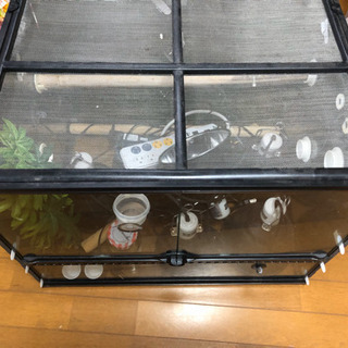 爬虫類ケージとその他色々