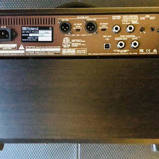 Boss Acoustic Live Singer 40W Amp Vocal/Guitar - 浜松市