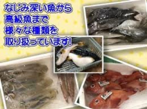 あなたの街の魚屋さん 山根鮮魚店 岡本輔 中洲川端のその他の無料広告 無料掲載の掲示板 ジモティー