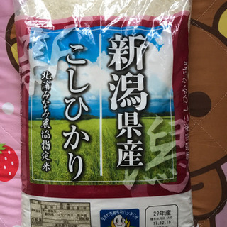 新潟産こしひかり　５kg