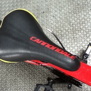 キャノンデール　ジュニア