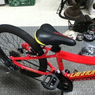 キャノンデール　ジュニア