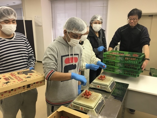 見学だけでもｏｋ 3事業所利用者同時募集障がい者就労継続支援ａ型事業所 鼻ぺちゃ好き 谷町九丁目の福祉の無料求人広告 アルバイト バイト募集情報 ジモティー