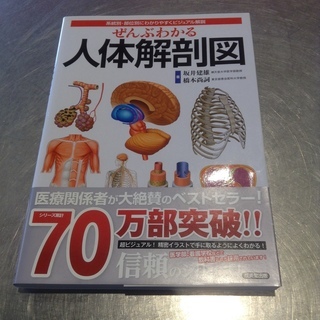 中古　本　ぜんぶわかる　人体解剖図　成美堂出版