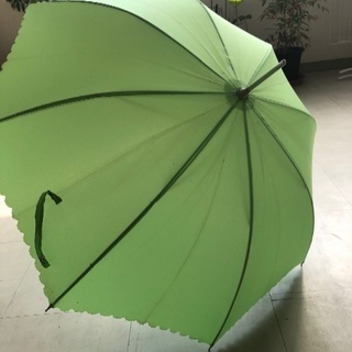 【未使用】新緑の雨傘　手動式