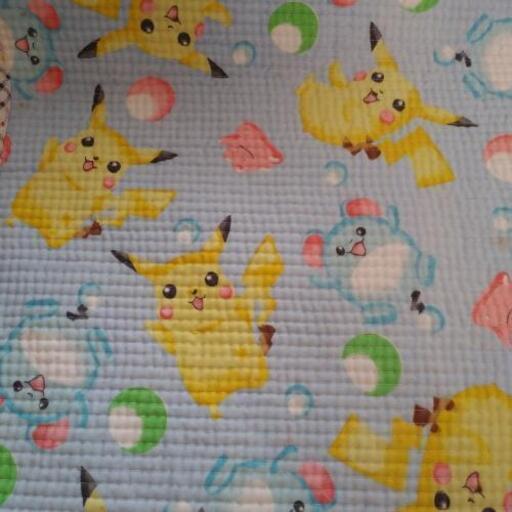 ポケモンカーペット ブルースカイ 室見の家庭用品 その他 の中古あげます 譲ります ジモティーで不用品の処分