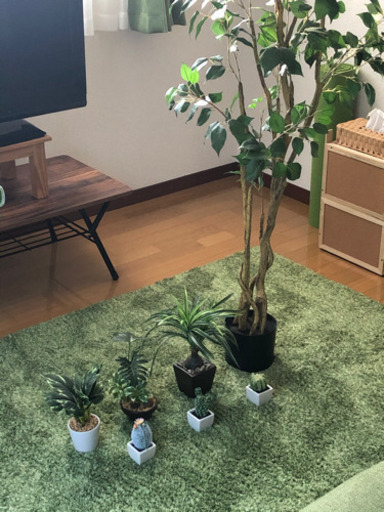 観葉植物 7点セット レプリカ Fukawa 秋田のインテリア雑貨 小物の中古あげます 譲ります ジモティーで不用品の処分 観葉植物 7点セット レプリカ Fukawa 秋田のインテリア雑貨 小物の中古あげます 譲ります ジモティーで不用品の処分