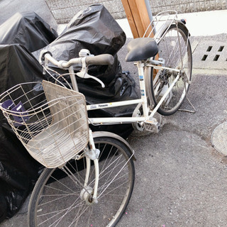 自転車　アルベルト