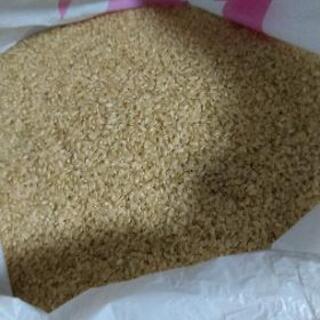 玄米　約30合（約4.5kg）