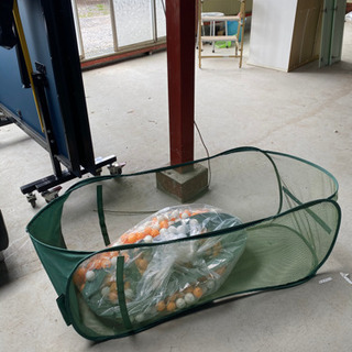 卓球台　卓球球サービス付き