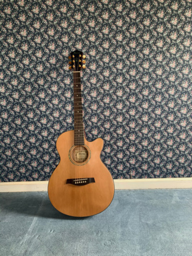 アイバニーズ　エレアコ ギター AEG45SE-LG　中古