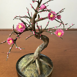 手作り梅の花の鉢植え パド 美章園のその他の中古あげます 譲ります ジモティーで不用品の処分 手作り梅の花の鉢植え パド 美章園のその他の中古あげます 譲ります ジモティーで不用品の処分