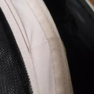 値下げ交渉歓迎】エアバギー、カバー