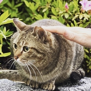 梅見ちゃん♡家族ができました