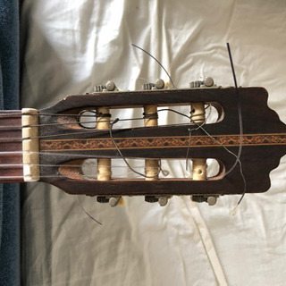 アコースティックギター HASHIMOTO GUT GUITER MODEL 236 - 楽器