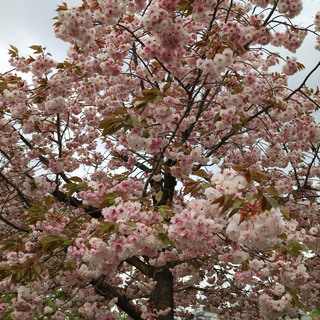 キャノン EOS M3 レンズ18-55mm 動作正常（出品者の知る限り）