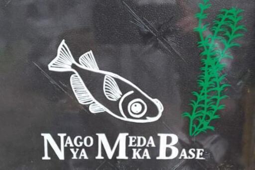 超人気の 改良メダカ 販売 Nmb 名古屋中川区 安心の実店舗販売 Nmb35 尾頭橋のペットの無料広告 無料掲載の掲示板 ジモティー