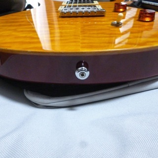 値下げ】PRS SE CUSTOM | hshn.org