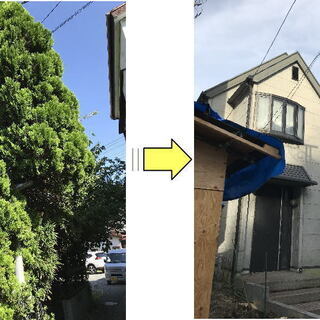 大きくなりすぎ危険となった植木の伐採 風台風に備え敷地内植木伐採 電線に枝が絡んでしまった植木の伐採 背の高くなりすぎた庭木伐採 作業地域内 あき 鶴ヶ峰のその他の無料広告 無料掲載の掲示板 ジモティー 大きくなりすぎ危険となった植木の伐採 風台風に備え敷地内植木伐採 電線に枝が絡んでしまった植木の伐採 背の高くなりすぎた庭木伐採 作業地域内 あき 鶴ヶ峰のその他の無料広告 無料掲載の掲示板 ジモティー