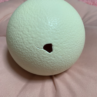 1 ->摜>2 