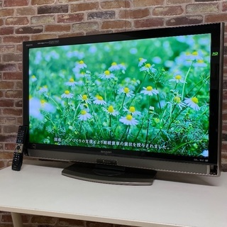 即日受渡❣️ブルーレイ録画再生可40型LEDアクオス www.thebrewbarn.com.au