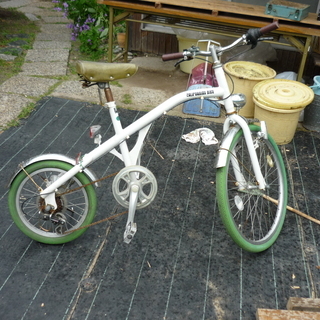 自転車(エキゾチックバイク)
