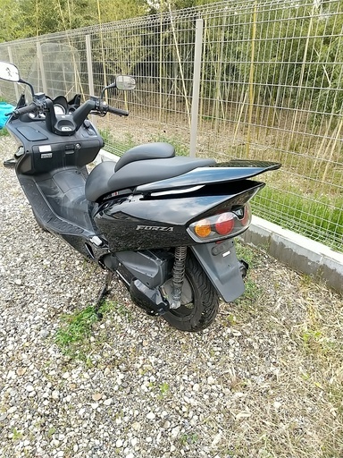 【不動車】FORZA（MF06）