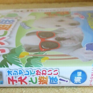 Nintendo 3ds 子犬と遊ぼ 海編 オシャレでかわいい ロボコン 港南台のポータブルゲーム ニンテンドーds 3ds の中古あげます 譲ります ジモティーで不用品の処分