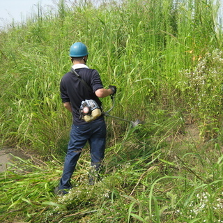 庭木、除草作業、伐採作業。人と接することなく、打ち合わせから、お...