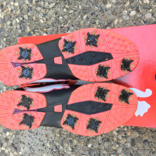 【美品】Wilson ウィルソン　tiaraティアラ　レディースゴルフセット