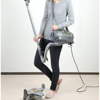 限時特価 ゴミ自動回収 床用お掃除 自動充電式 3Dクリーニング DEEBOT D79