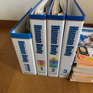 ヒューマンボディの中古が安い!激安で譲ります・無料であげます ...