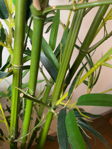 お取引中 笹笹の葉フェイク光触媒観葉植物七夕210cm Mie Maple 立川のインテリア雑貨 小物の中古あげます 譲ります ジモティーで不用品の処分 お取引中 笹笹の葉フェイク光触媒観葉植物七夕210cm Mie Maple 立川のインテリア雑貨 小物の中古あげます 譲ります ジモティーで不用品の処分